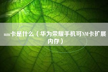 nm卡是什么（华为荣耀手机可NM卡扩展内存）