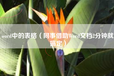 word中的表格（同事借助Word文档2分钟就搞定）