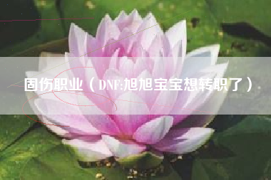 固伤职业（DNF:旭旭宝宝想转职了）