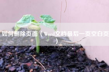 如何删除页面（Word文档最后一页空白页）