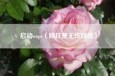 启动wapi（同样是无线网络）