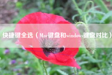 快捷键全选（Mac键盘和windows键盘对比）