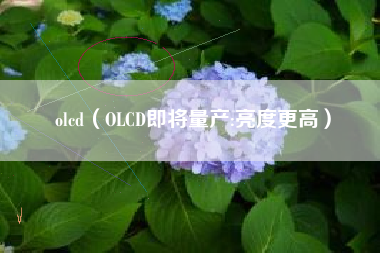 olcd（OLCD即将量产:亮度更高）