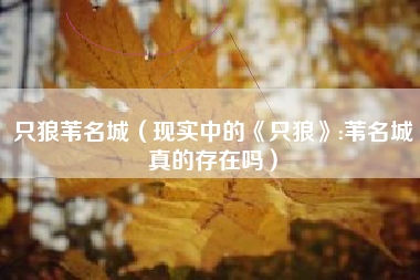 只狼苇名城（现实中的《只狼》:苇名城真的存在吗）