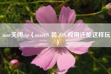 mac关闭sip（macOS 装 iOS 应用还能这样玩）