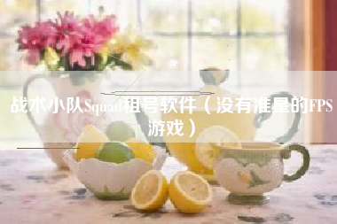 战术小队Squad租号软件（没有准星的FPS游戏）