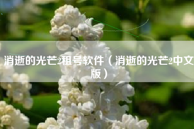 消逝的光芒2租号软件（消逝的光芒2中文版）