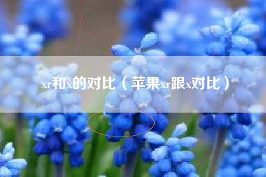 xr和x的对比（苹果xr跟x对比）