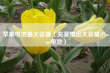 苹果电池最大容量（充客推出大容量iPhone电池）