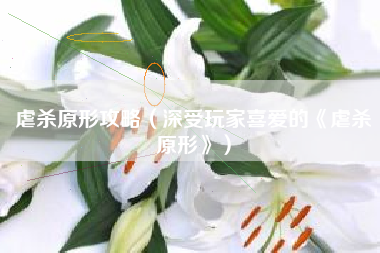 虐杀原形攻略（深受玩家喜爱的《虐杀原形》）