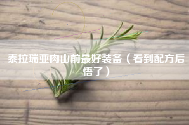 泰拉瑞亚肉山前最好装备（看到配方后悟了）