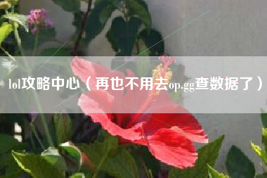 lol攻略中心（再也不用去op.gg查数据了）