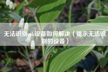 无法识别usb设备如何解决（提示无法识别的设备）