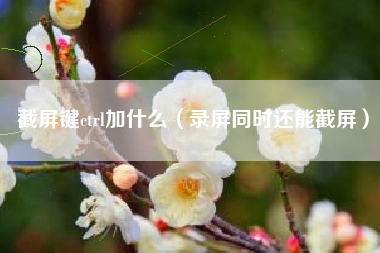 截屏键ctrl加什么（录屏同时还能截屏）