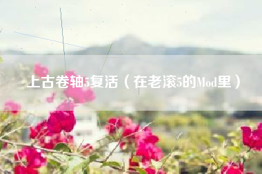 上古卷轴5复活（在老滚5的Mod里）