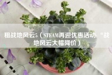 租战地风云5（STEAM再迎优惠活动:“战地风云大幅降价）