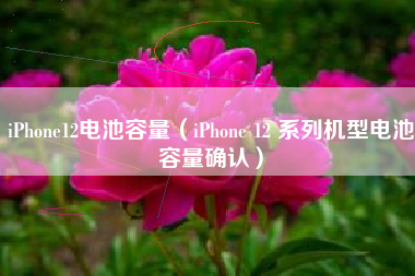 iPhone12电池容量（iPhone 12 系列机型电池容量确认）