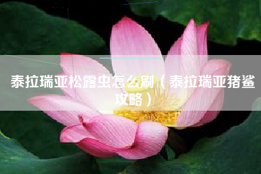 泰拉瑞亚松露虫怎么刷（泰拉瑞亚猪鲨攻略）