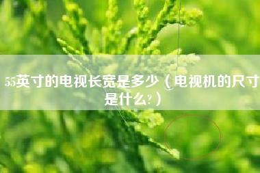 55英寸的电视长宽是多少（电视机的尺寸是什么?）