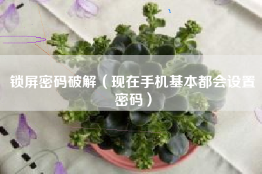 锁屏密码破解（现在手机基本都会设置密码）