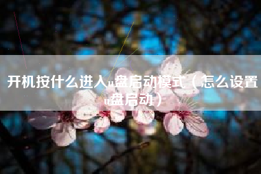 开机按什么进入u盘启动模式（怎么设置u盘启动）