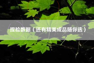 捏脸数据（还有精美成品随你选）