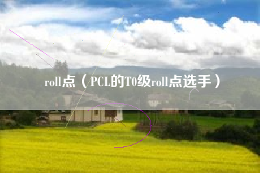 roll点（PCL的T0级roll点选手）