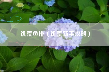 饥荒鱼排（饥荒新手攻略）