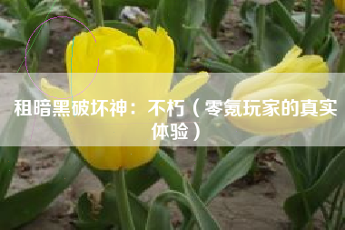 租暗黑破坏神：不朽（零氪玩家的真实体验）