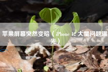 苹果屏幕突然变暗（iPhone 12 大量问题曝光）