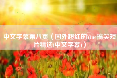 中文字幕第八页（国外超红的Vine搞笑短片精选(中文字幕)）