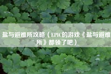 盐与避难所攻略（EPIC的游戏《盐与避难所》都领了吧）