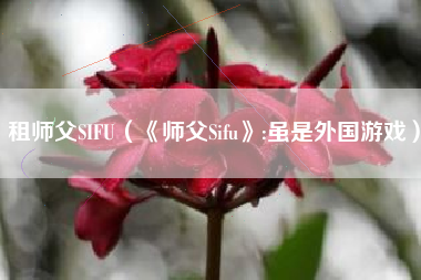 租师父SIFU（《师父Sifu》:虽是外国游戏）