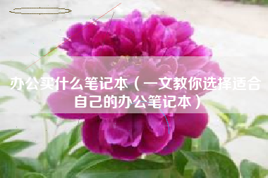 办公买什么笔记本（一文教你选择适合自己的办公笔记本）