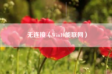 无连接（Win10能联网）