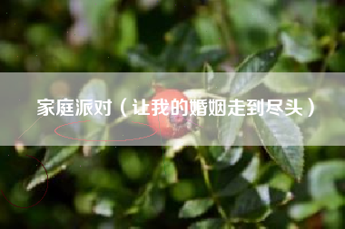 家庭派对（让我的婚姻走到尽头）