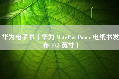 华为电子书（华为 MatePad Paper 电纸书发布:10.3 英寸）