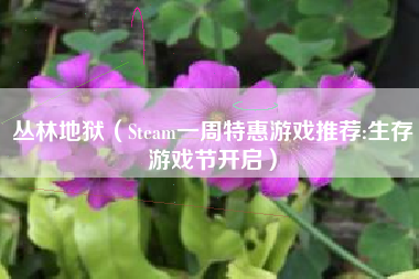 丛林地狱（Steam一周特惠游戏推荐:生存游戏节开启）