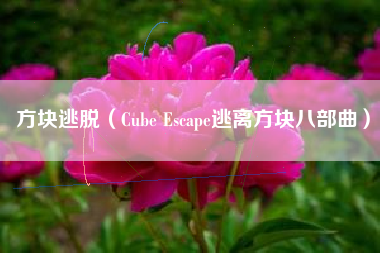 方块逃脱（Cube Escape逃离方块八部曲）