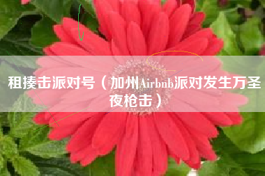 租揍击派对号（加州Airbnb派对发生万圣夜枪击）