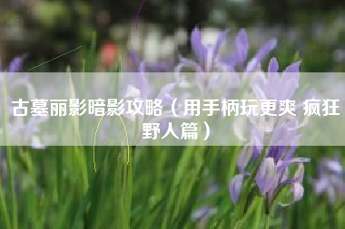 古墓丽影暗影攻略（用手柄玩更爽 疯狂野人篇）