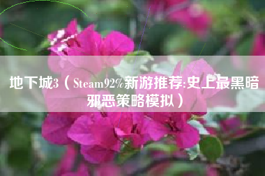 地下城3（Steam92%新游推荐:史上最黑暗邪恶策略模拟）