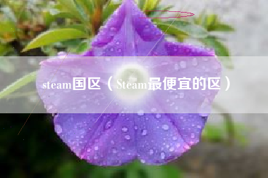 steam国区（Steam最便宜的区）