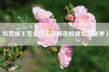 饥荒蜂王怎么打（开局击败蜂后不是梦）