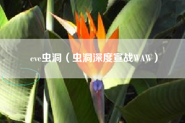 eve虫洞（虫洞深度宣战WAW）