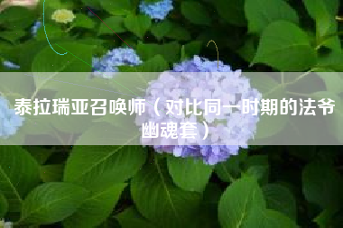 泰拉瑞亚召唤师（对比同一时期的法爷幽魂套）