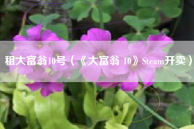 租大富翁10号（《大富翁 10》Steam开卖）