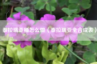 泰拉瑞亚桶怎么做（泰拉瑞亚全合成表）