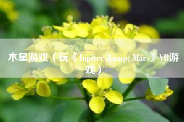 木星游戏（玩《Jupiter & Mars》VR游戏）