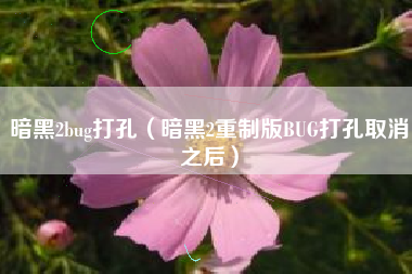 暗黑2bug打孔（暗黑2重制版BUG打孔取消之后）